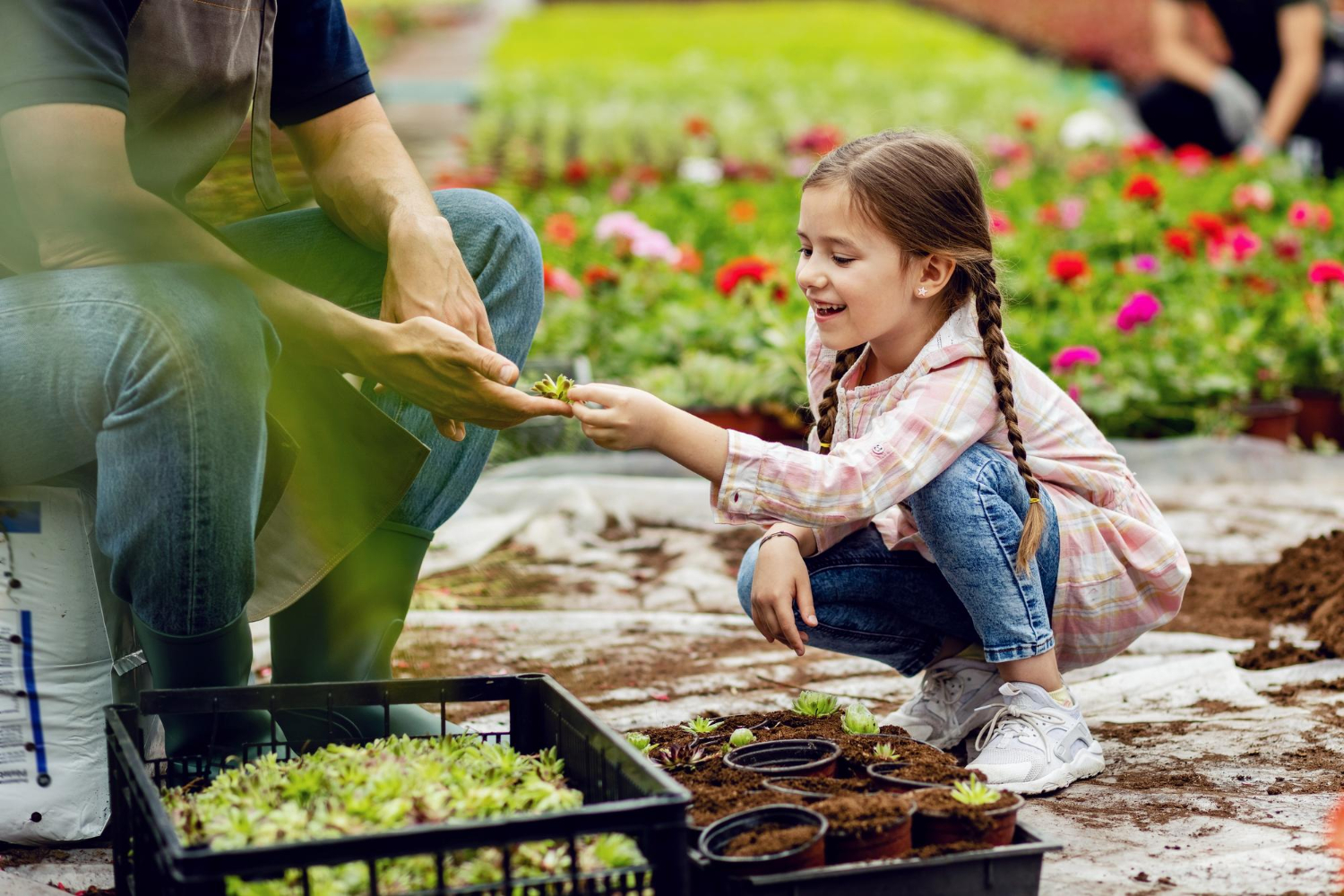 attività rilassanti in famiglia